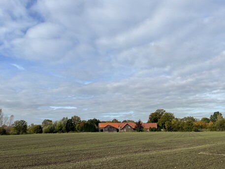 Münster Modell Quartiere 2 | Busso-Peus-Straße