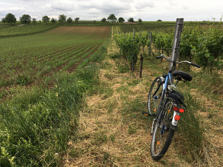Landau in der Pfalz – Neues Stadtquartier Südwest